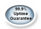 Dewlance 99.9% Uptime Guarantee